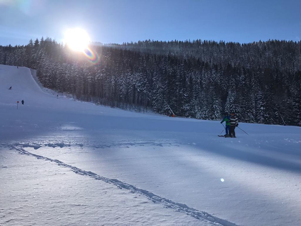 Appartements Almnest Schladming Eksteriør billede