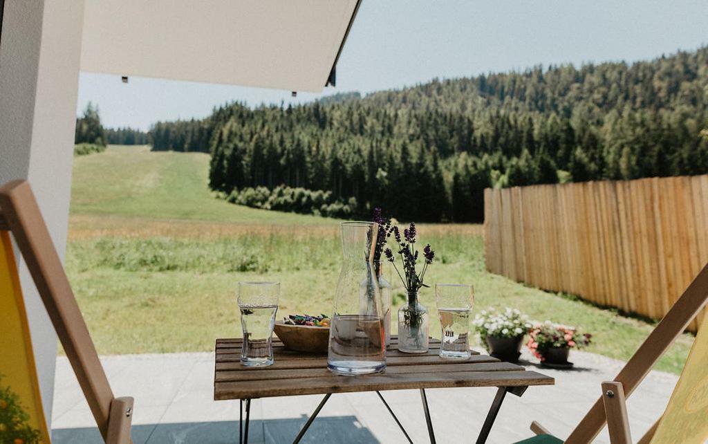 Appartements Almnest Schladming Eksteriør billede